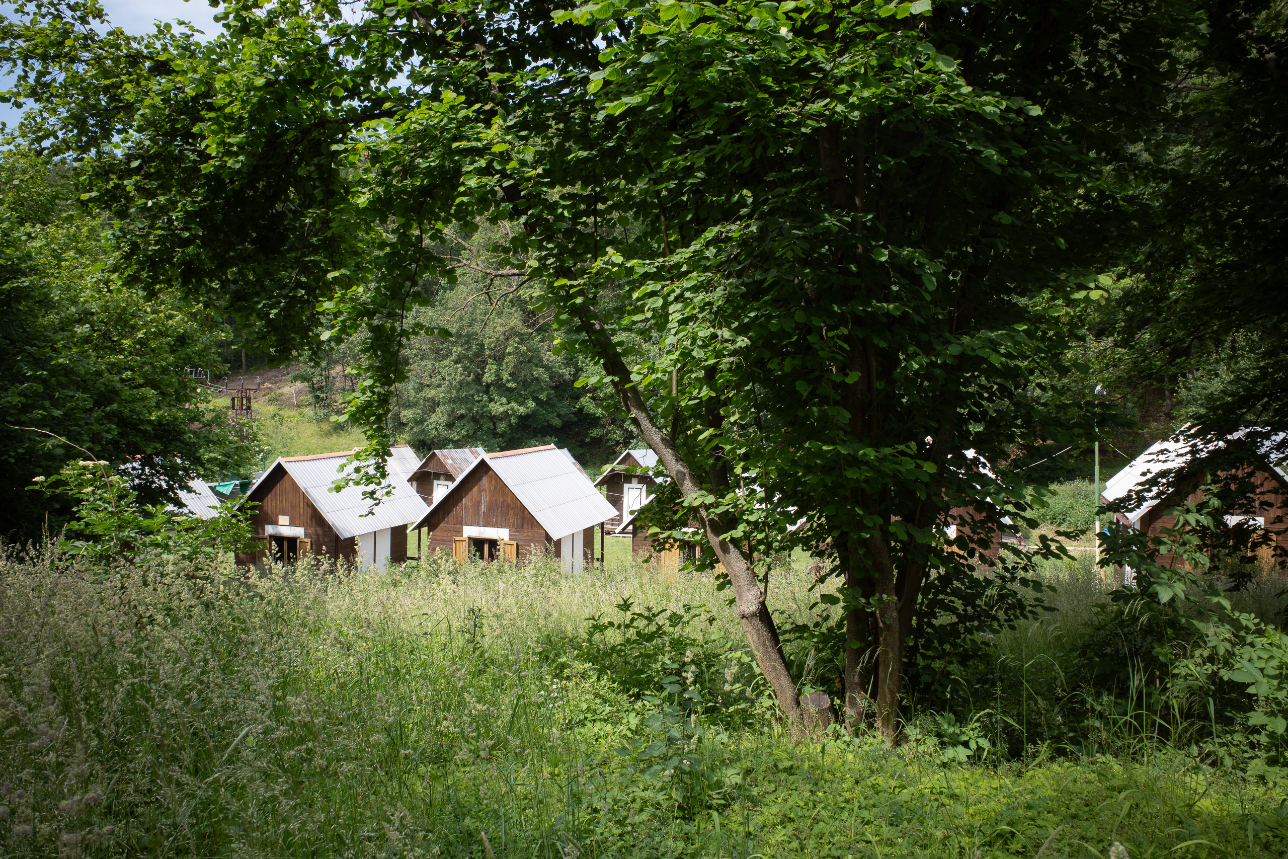 Aufstieg aus dem Elbtal – der Weg über die Hügel beginnt